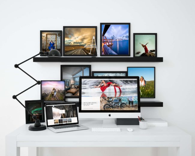 arctic light collective